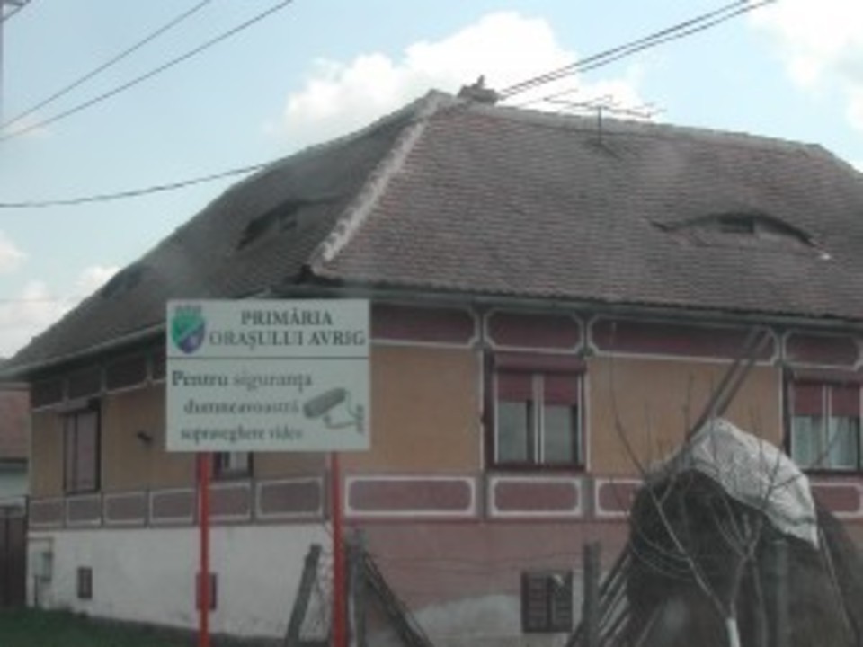 pazea pazea